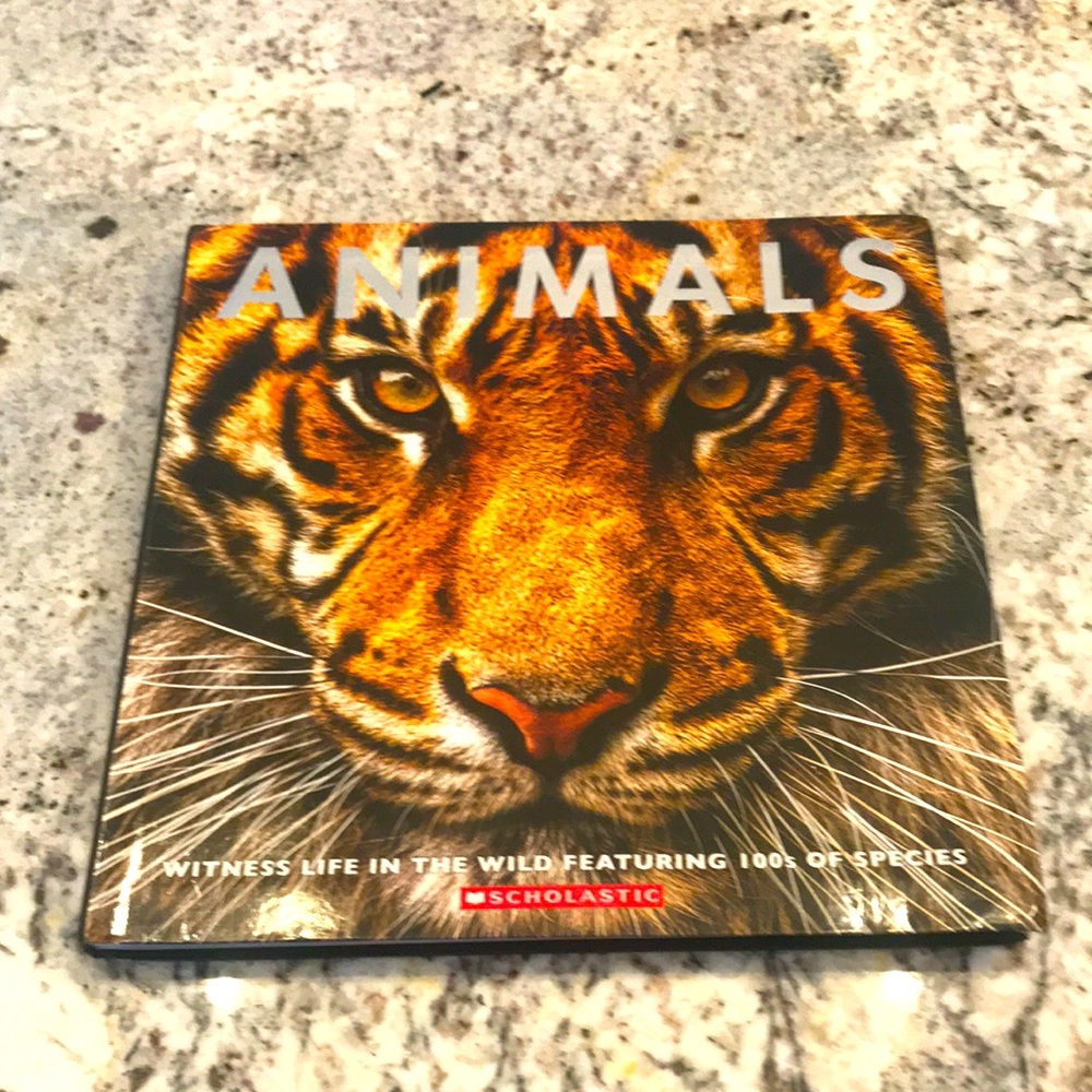 Scholastic “Animals”
